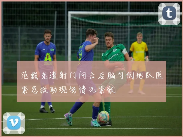 范戴克遭射门闷击后脑勺倒地队医紧急救助现场情况紧张